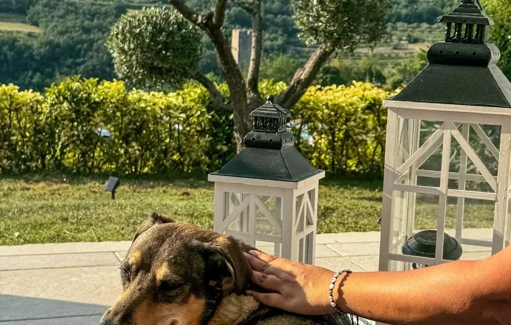 Beautiful Casa Garden Contesses In Momjan Villa Buje
